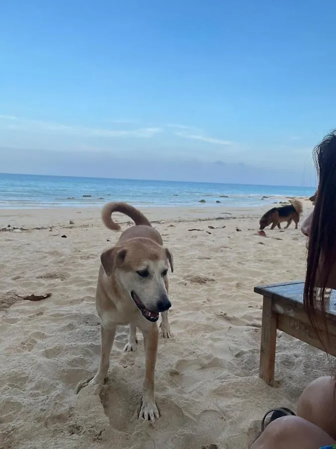 Resort Hotel Sanctuary Lanta Ko Lanta